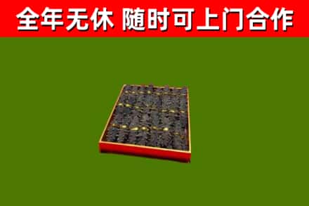 晋源回收海参